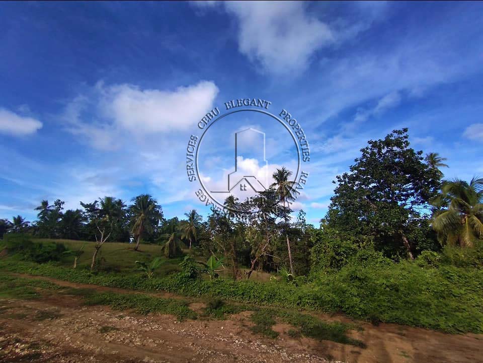 Affordable Lot for Sale in Siargo, Island