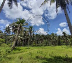 Agricultural Land in Siargao Island: Ideal for Business and Leisure