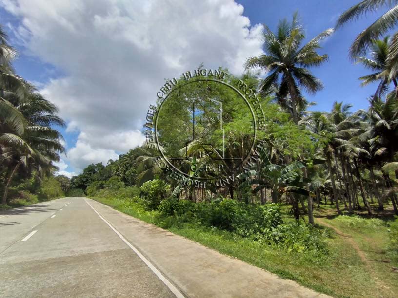 Lot For Sale in Siargao Island
