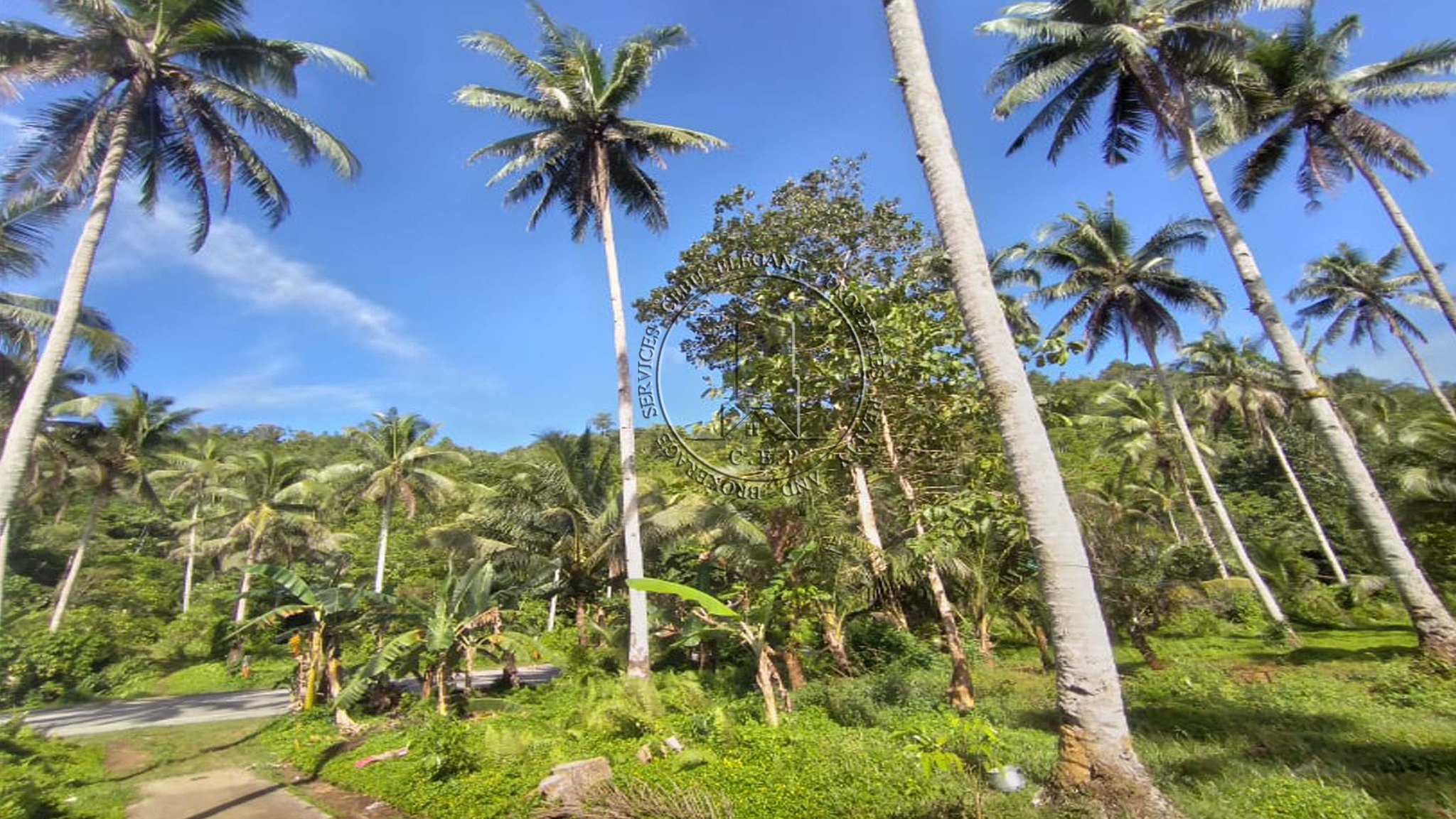 Lot For Sale In This Beautiful Island of Siargao!