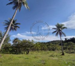 Prime Agricultural Land for Sale in Beautiful Siargao Island!