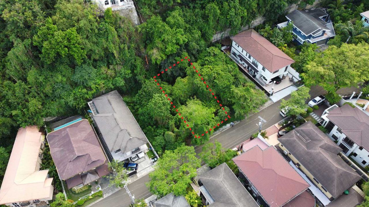 Maria Luisa Lot Property For Sale