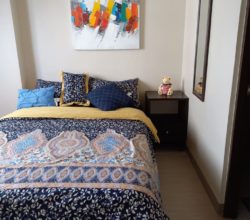 Fully Furnished 1 Bedroom Condo Unit For Assume