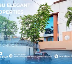 Elegant Modern House and Lot For Sale in Mandaue City, Cebu!