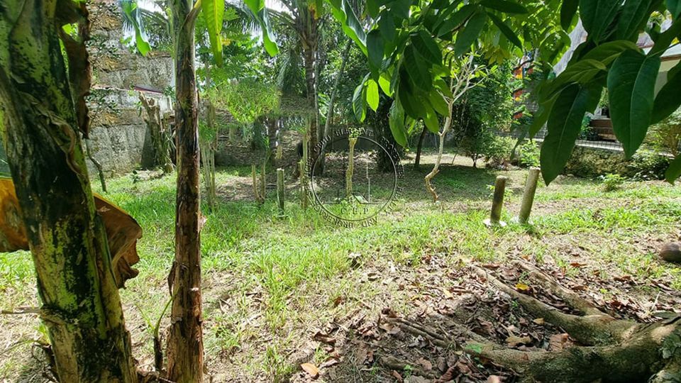 300 Square Meter Lot For Sale Inside A Subdivision