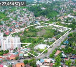 2-Hectares Raw Lot in Cebu City