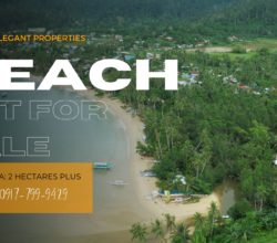 Seaside Serenity: Beach Lot for Sale in Port Barton, Palawan