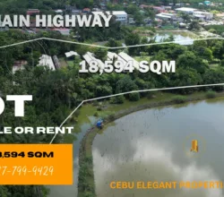 Prime Commercial Lot for Rent or Sale in Tayud, Consolacion!