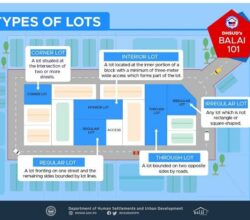 Know Your Lot: Discover the Different Types of Lots!