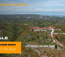 Prime Overlooking Lot for Sale in Carcar City, Cebu – Ideal for Development